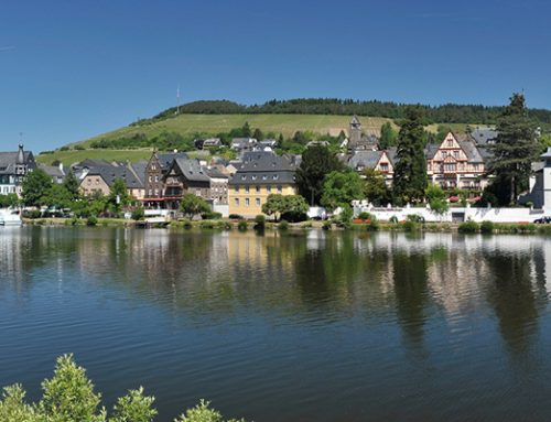 SCHÖNES AUS DER REGION – TEIL 5 – MOSELSCHLÖSSCHEN